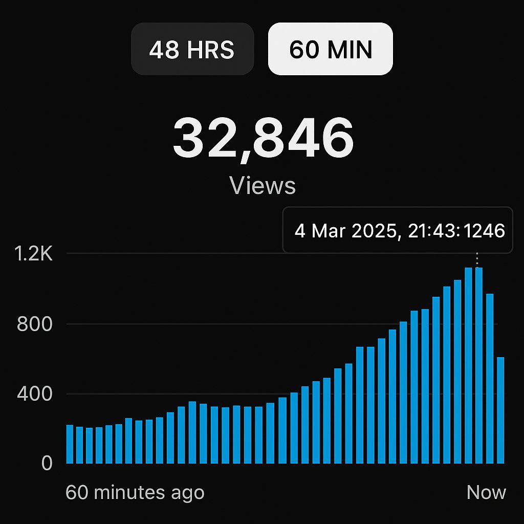 SEO Result 15